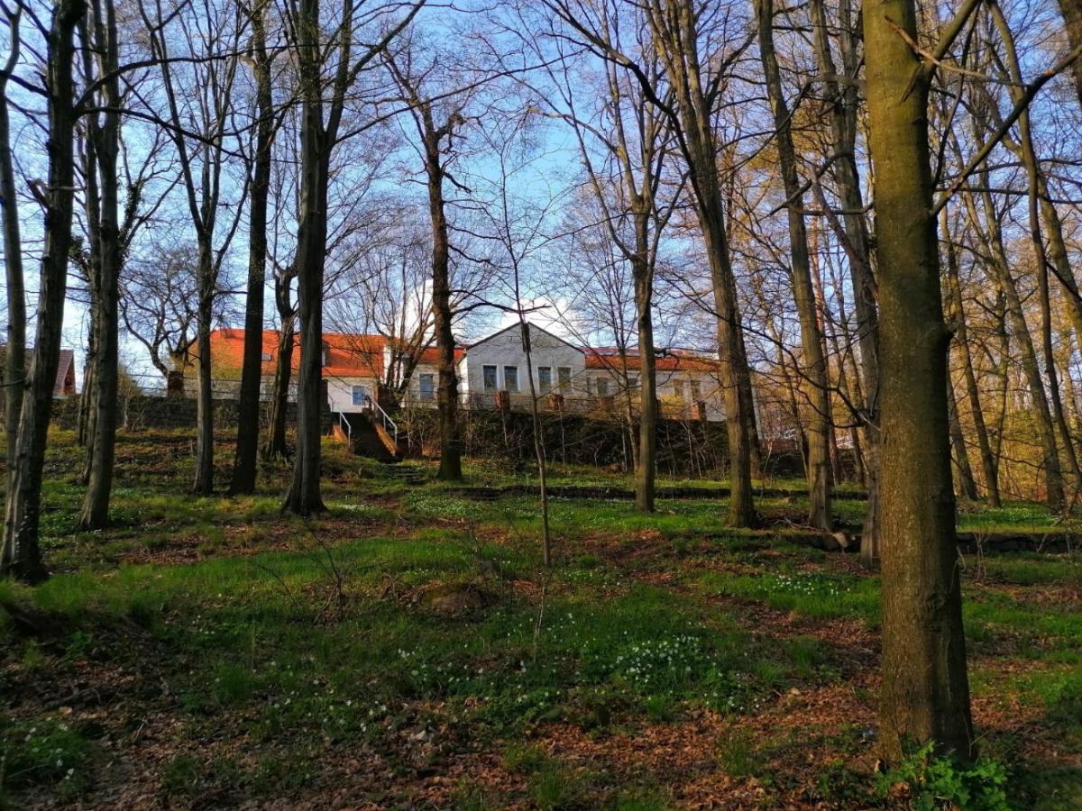 Hotel Kreuzbergbaude Beim Berzdorfer See Mit Wohlfuehl Sauna Markersdorf Extérieur photo